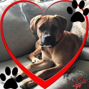 Meet your Posher, Sheila